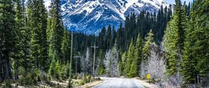 Preview wallpaper road, mountain, forest, nature, landscape, canada