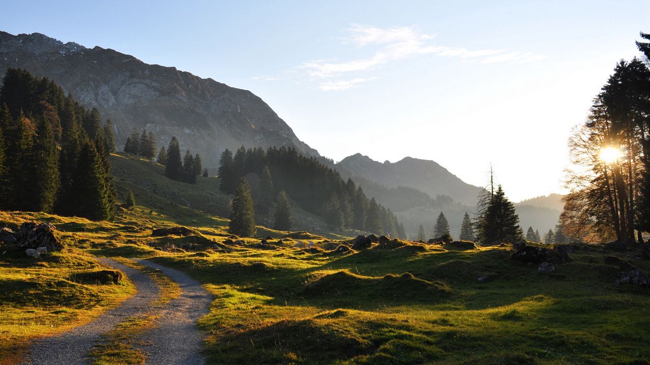 Wallpaper road, mountain, hills, relief, trees, roughnesses, landscape