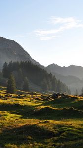 Preview wallpaper road, mountain, hills, relief, trees, roughnesses, landscape