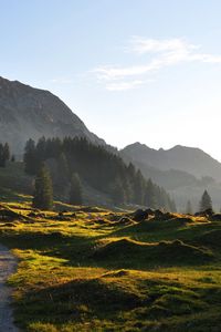 Preview wallpaper road, mountain, hills, relief, trees, roughnesses, landscape