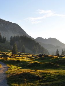 Preview wallpaper road, mountain, hills, relief, trees, roughnesses, landscape