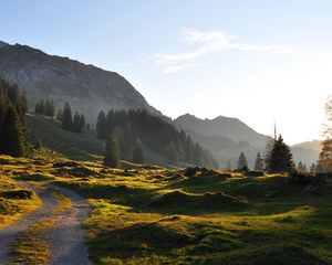 Preview wallpaper road, mountain, hills, relief, trees, roughnesses, landscape