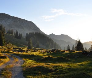 Preview wallpaper road, mountain, hills, relief, trees, roughnesses, landscape