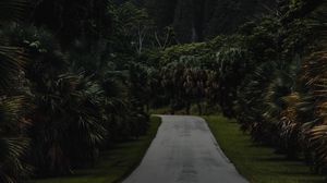 Preview wallpaper road, mountain, palm trees, landscape, nature