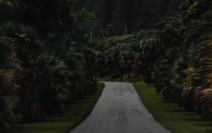 Preview wallpaper road, mountain, palm trees, landscape, nature