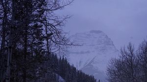 Preview wallpaper road, mountain, snow, forest, nature