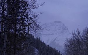 Preview wallpaper road, mountain, snow, forest, nature