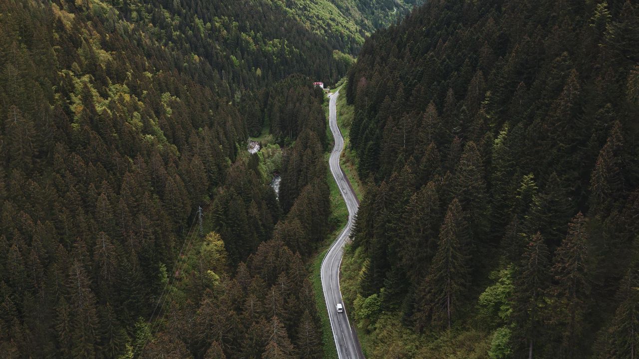 Wallpaper road, mountains, aerial view, forest, trees