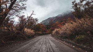 Preview wallpaper road, mountains, bushes, trees, nature