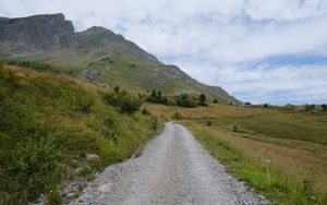 Preview wallpaper road, mountains, field, trees, clouds