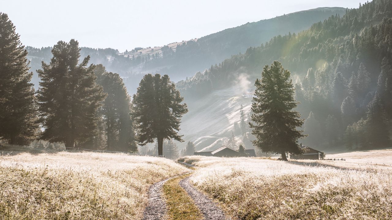 Wallpaper road, mountains, fog, trees, landscape