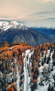 Preview wallpaper road, mountains, forest, trees, snow, snowy