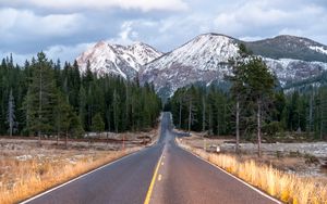 Preview wallpaper road, mountains, forest, trees, landscape