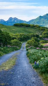 Preview wallpaper road, mountains, hills, greenery, landscape