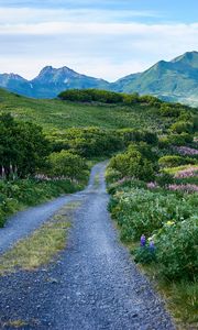 Preview wallpaper road, mountains, hills, greenery, landscape