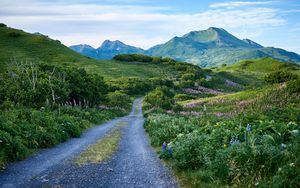 Preview wallpaper road, mountains, hills, greenery, landscape