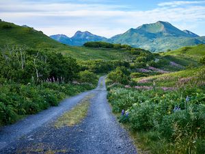 Preview wallpaper road, mountains, hills, greenery, landscape