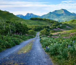 Preview wallpaper road, mountains, hills, greenery, landscape