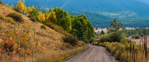 Preview wallpaper road, mountains, hills, trees, forest