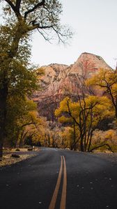 Preview wallpaper road, mountains, trees, asphalt, autumn