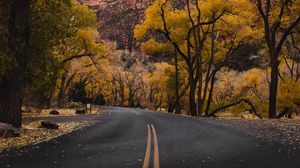 Preview wallpaper road, mountains, trees, asphalt, autumn
