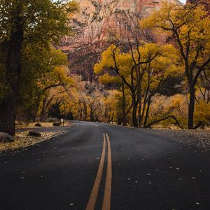 Preview wallpaper road, mountains, trees, asphalt, autumn