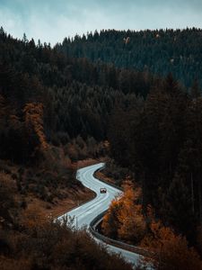 Preview wallpaper road, movement, forest, trees