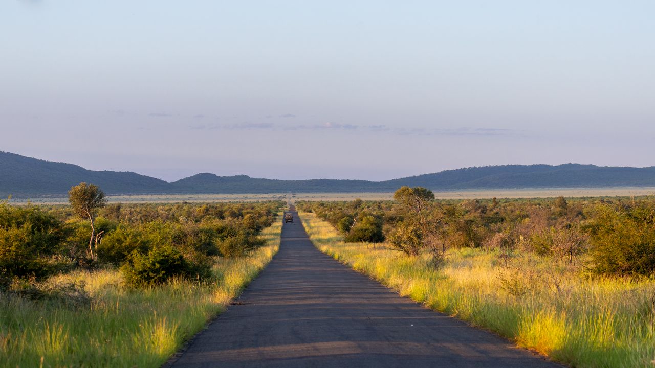 Wallpaper road, nature, trees, hills, sky