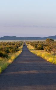 Preview wallpaper road, nature, trees, hills, sky