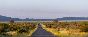 Preview wallpaper road, nature, trees, hills, sky