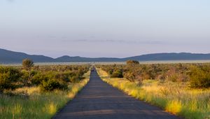 Preview wallpaper road, nature, trees, hills, sky