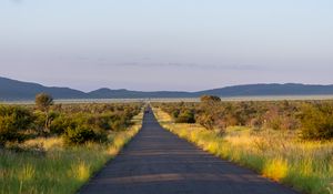 Preview wallpaper road, nature, trees, hills, sky