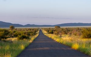 Preview wallpaper road, nature, trees, hills, sky
