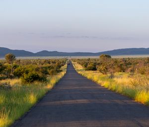 Preview wallpaper road, nature, trees, hills, sky