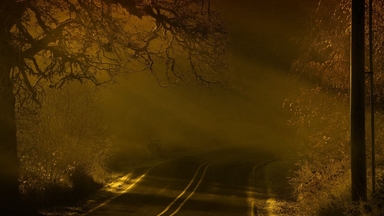 Wallpaper road, night, fog, marking