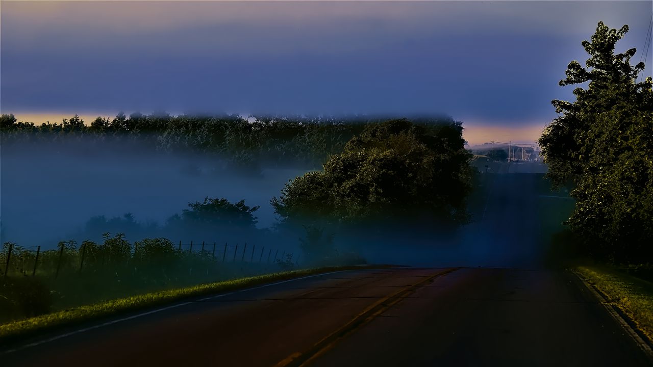 Wallpaper road, night, trees, fog, dark