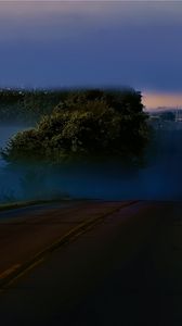 Preview wallpaper road, night, trees, fog, dark