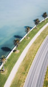 Preview wallpaper road, palm trees, aerial view, coast, sea