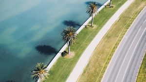 Preview wallpaper road, palm trees, aerial view, coast, sea