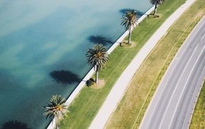 Preview wallpaper road, palm trees, aerial view, coast, sea