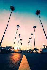 Preview wallpaper road, palm trees, asphalt, cars, marking, redondo beach, california, united states