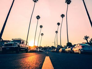 Preview wallpaper road, palm trees, asphalt, cars, marking, redondo beach, california, united states