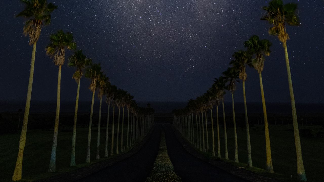 Wallpaper road, palm trees, night, stars, starry sky