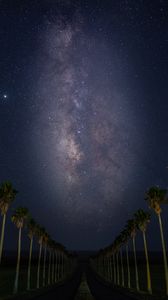 Preview wallpaper road, palm trees, night, stars, starry sky