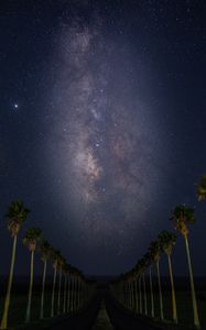 Preview wallpaper road, palm trees, night, stars, starry sky