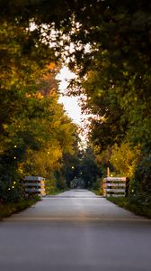 Preview wallpaper road, park, alley, trees