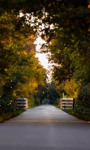 Preview wallpaper road, park, alley, trees