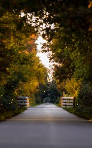 Preview wallpaper road, park, alley, trees