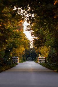 Preview wallpaper road, park, alley, trees