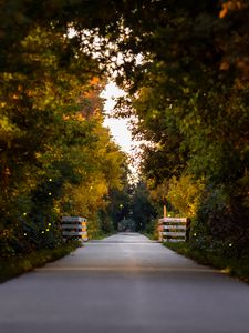 Preview wallpaper road, park, alley, trees